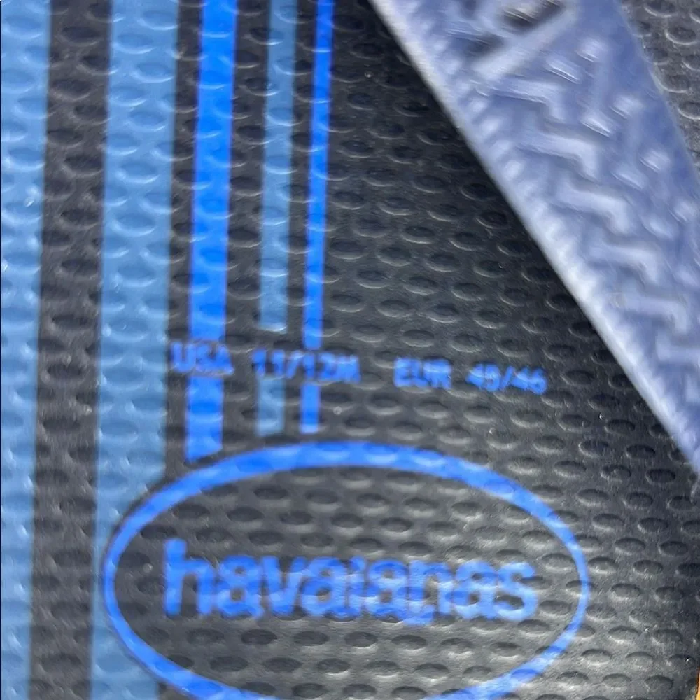 Havaianas Navy and Blue Flip Flops